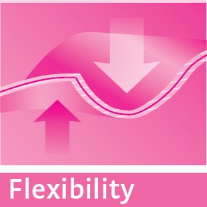 flexibility